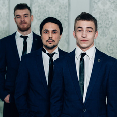 Амир Закиров Артисты по жанрам