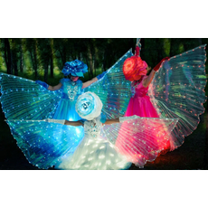 Ольга Егорова Артисты по жанрам