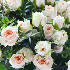 Свадебные аксессуары Черничный Домик Товары