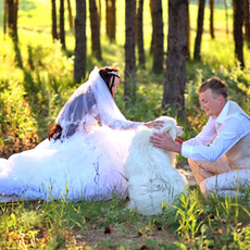 Фотограф Аркадий Ишимов Фотографы