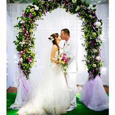 Ваш праздник — наша забота Услуги