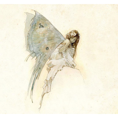 Оформление свадеб Barbariss Декор