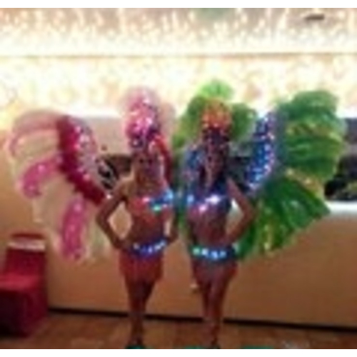 Ольга Потапченко Артисты по жанрам