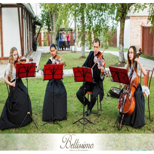 Ансамбль "Bellissimo" Артисты по жанрам