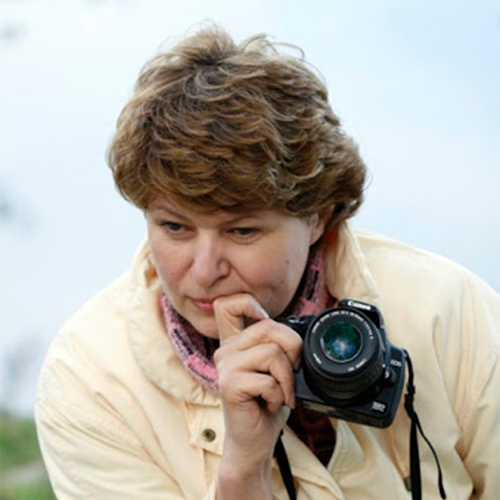 Оформление свадеб Ольга Зайцева Декор