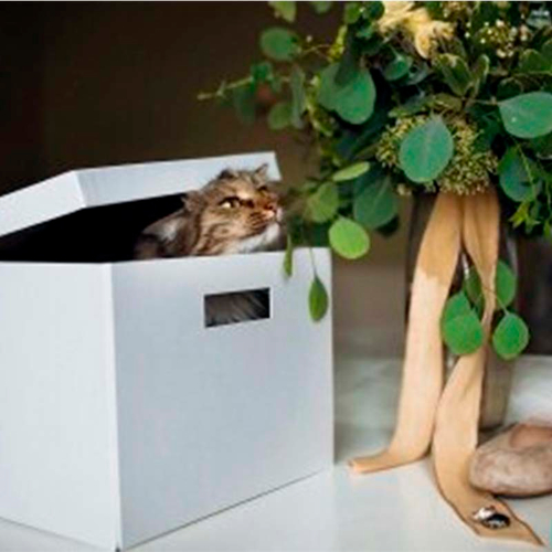 Студия цветов и дизайна "Mr Flower" Для свадьбы