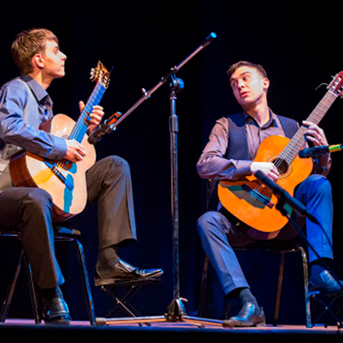 Blis Project Артисты по жанрам