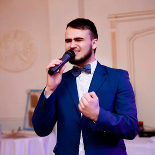 Михаил Гринцов Артисты по жанрам