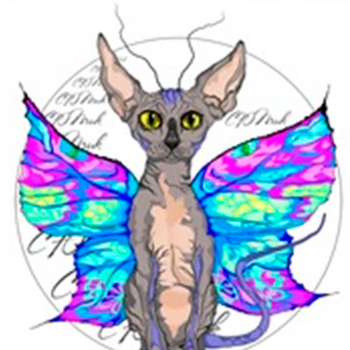 Фотограф Креативное объединение "СЮПчик" Фотографы